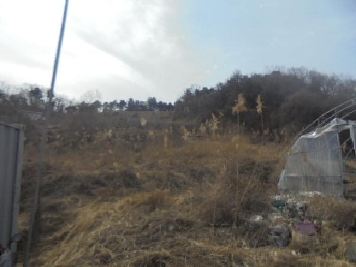 충북 음성군 감곡면 전답 경매 물건 사진 2 · 2026타경30091