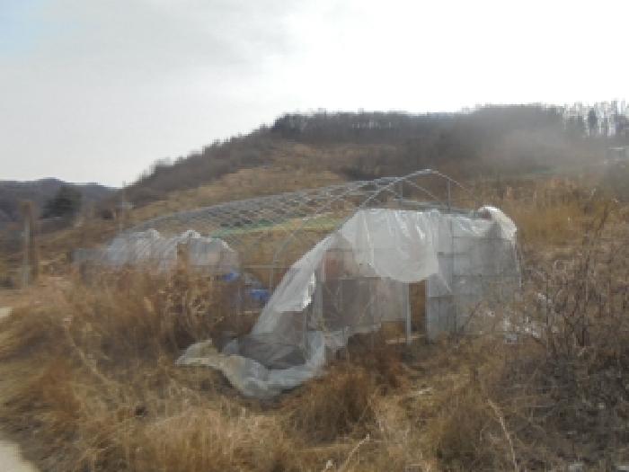 충북 음성군 감곡면 전답 경매 물건 사진 4 · 2026타경30091