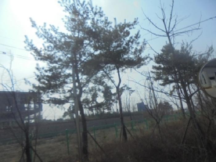 충북 음성군 금왕읍 잡종지 경매 물건 사진 4 · 2026타경30104