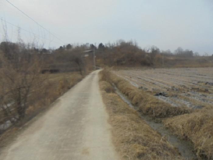 충북 충주시 금가면 전답 경매 물건 사진