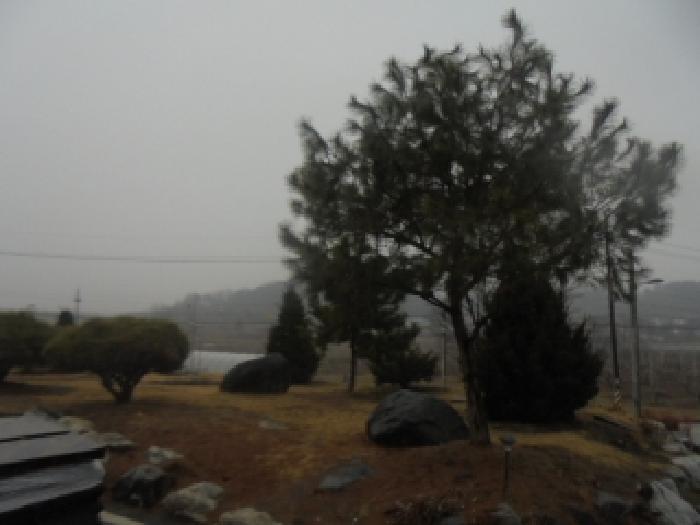 충북 충주시 금가면 공장/지식산업센터 경매 물건 사진 2 · 2026타경30118