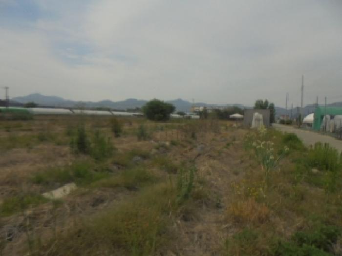 충북 충주시 달천동 전답 경매 물건 사진