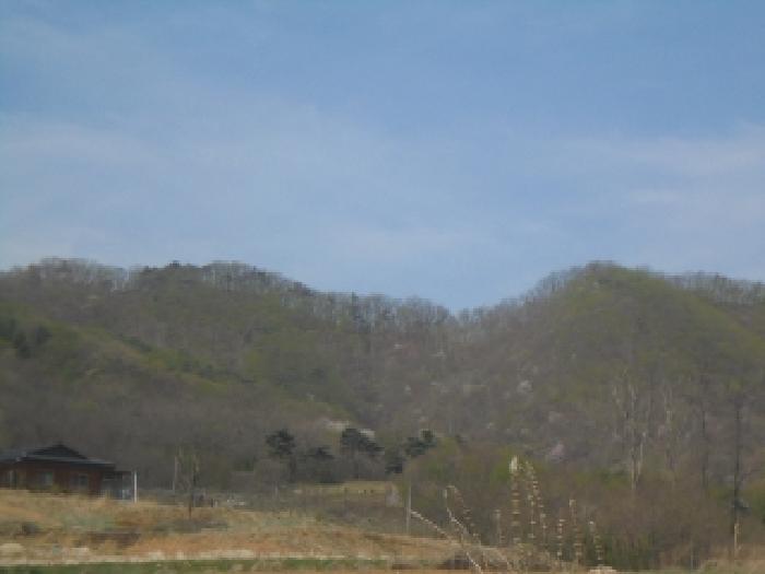 충북 음성군 음성읍 임야 경매 물건 사진