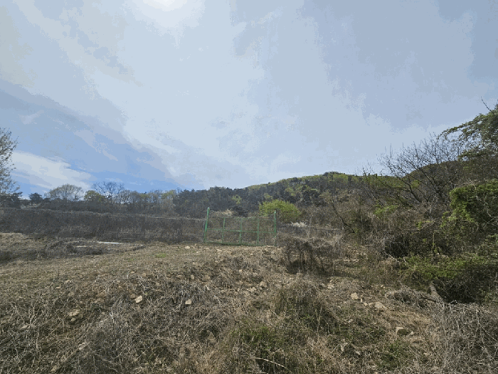 충북 음성군 소이면 임야 경매 물건 사진 6 · 2026타경83