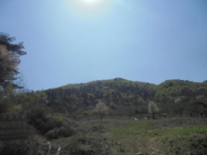 충북 음성군 소이면 임야 경매 물건 사진
