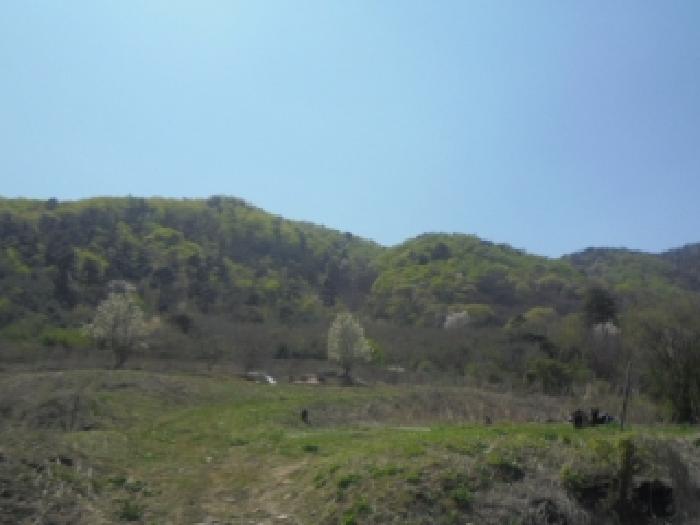 충북 음성군 소이면 임야 경매 물건 사진 2 · 2026타경83