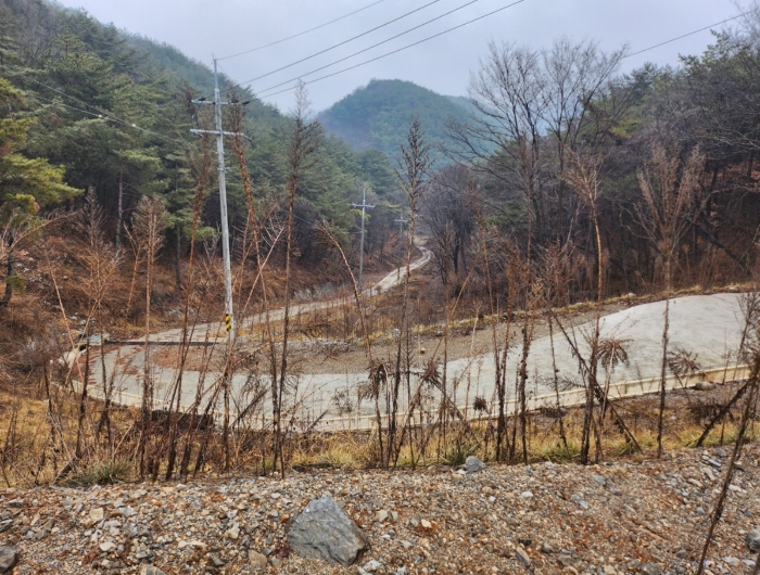 충청북도 단양군 매포읍 우덕리 103 전 경매 물건 사진