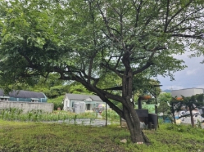 충북 제천시 신월동 대지 경매 물건 사진 4 · 2023타경6115