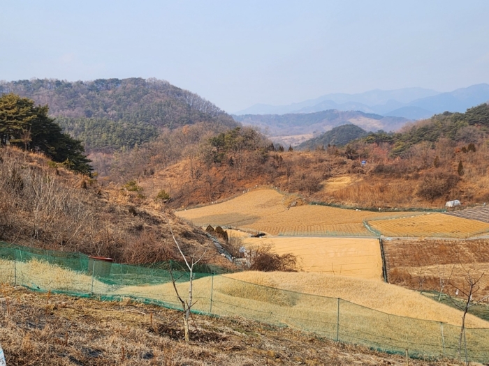 충청북도 제천시 수산면 구곡리 산9-2 임야 경매 물건 사진