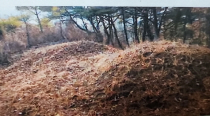 충북 제천시 수산면 임야 경매 물건 사진