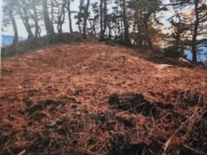충북 제천시 수산면 임야 경매 물건 사진 2 · 2024타경1834