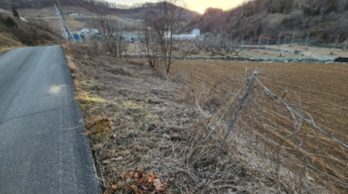 충북 제천시 수산면 임야 경매 물건 사진 3 · 2024타경1834