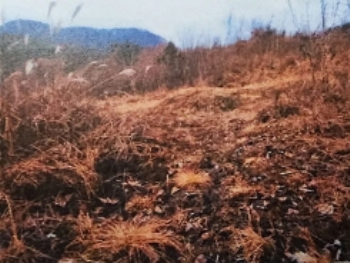 충북 제천시 수산면 임야 경매 물건 사진 4 · 2024타경1834