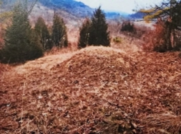 충북 제천시 수산면 임야 경매 물건 사진 5 · 2024타경1834