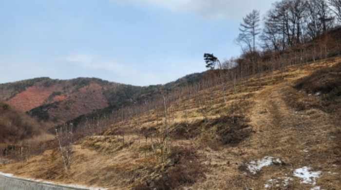 충북 제천시 청풍면 전 경매 물건 사진