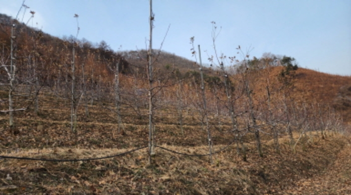 충북 제천시 청풍면 전 경매 물건 사진 2 · 2024타경1841