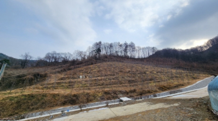 충북 제천시 청풍면 전 경매 물건 사진 4 · 2024타경1841