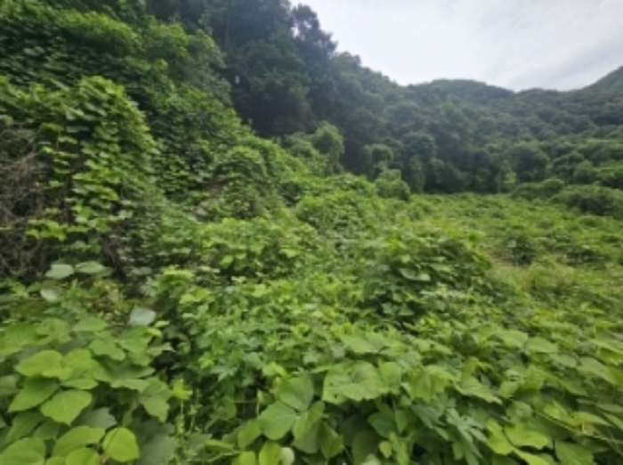 충북 단양군 어상천면 전 경매 물건 사진 2 · 2024타경6730