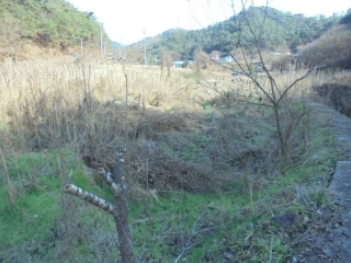 충북 제천시 수산면 답 경매 물건 사진 4 · 2024타경7610