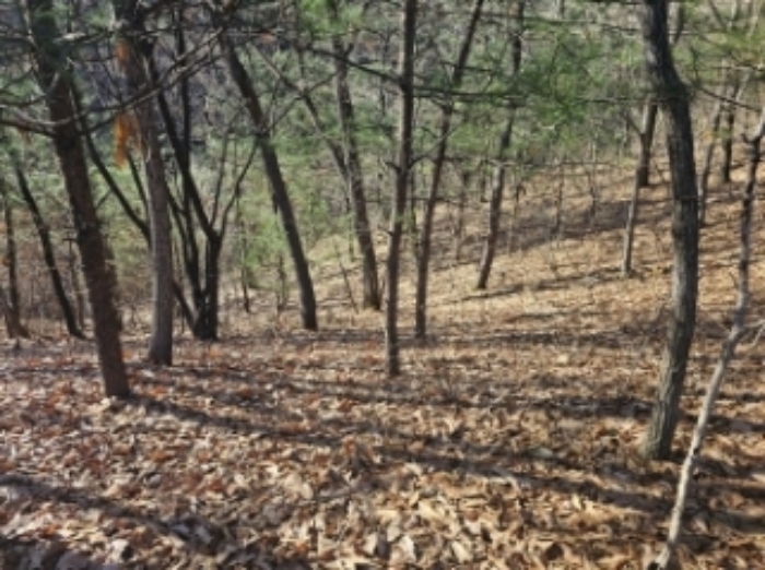 충북 제천시 흑석동 임야 경매 물건 사진 2 · 2024타경7634