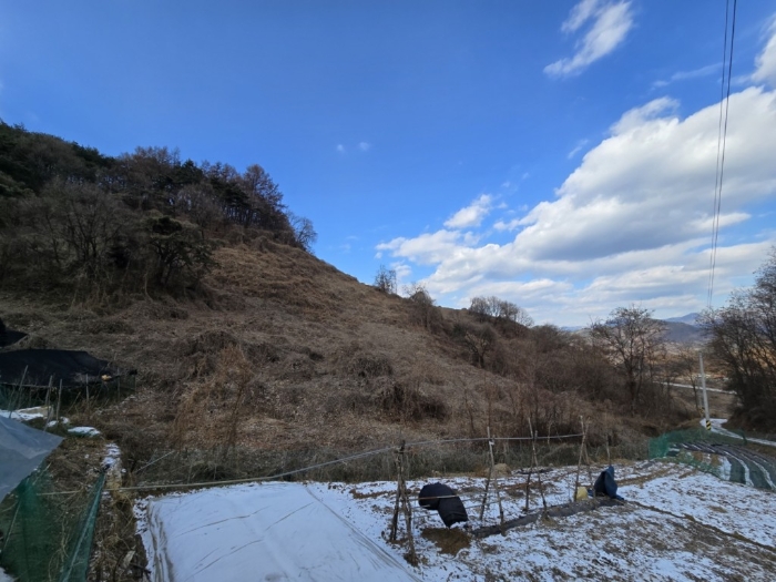 충북 제천시 수산면 전 경매 물건 사진 4 · 2024타경7887