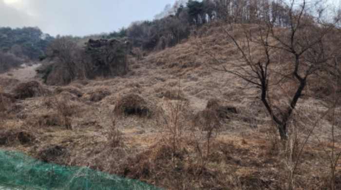 충북 제천시 수산면 전 경매 물건 사진