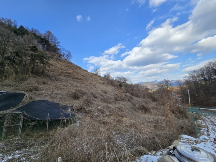 충북 제천시 수산면 전 경매 물건 사진 2 · 2024타경7887