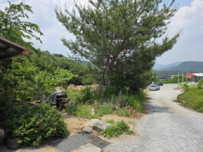 충북 제천시 백운면 위험물저장및처리시설 경매 물건 사진 6 · 2025타경108