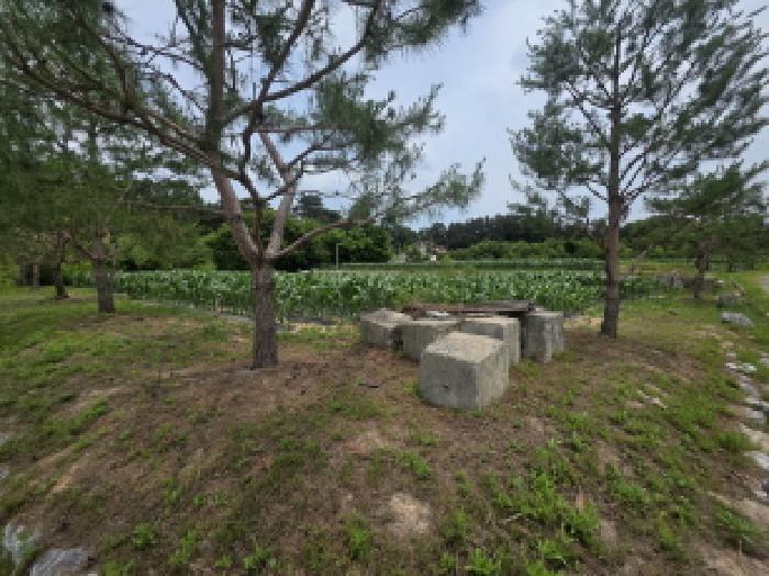 충북 제천시 고명동 답 경매 물건 사진 2 · 2025타경110