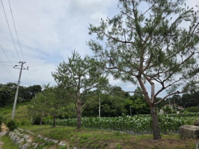 충북 제천시 고명동 답 경매 물건 사진 6 · 2025타경110