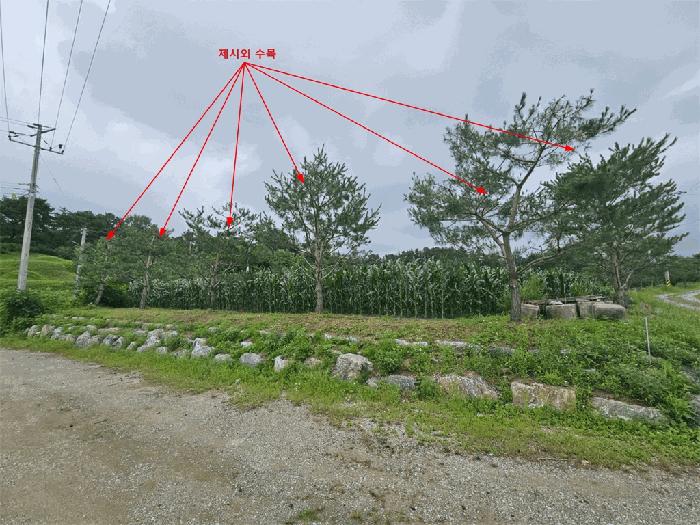 충북 제천시 고명동 답 경매 물건 사진