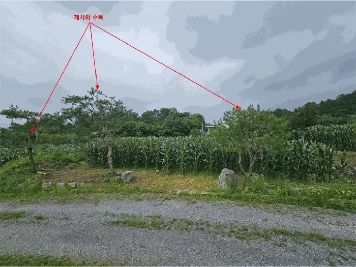 충북 제천시 고명동 답 경매 물건 사진 5 · 2025타경110