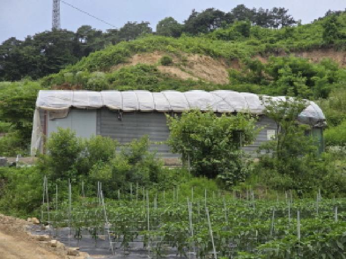 충북 제천시 송학면 전 경매 물건 사진 3 · 2025타경115