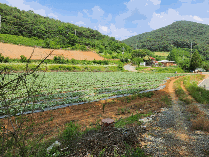 충청북도 단양군 매포읍 하시리 4-1 전 경매 물건 사진