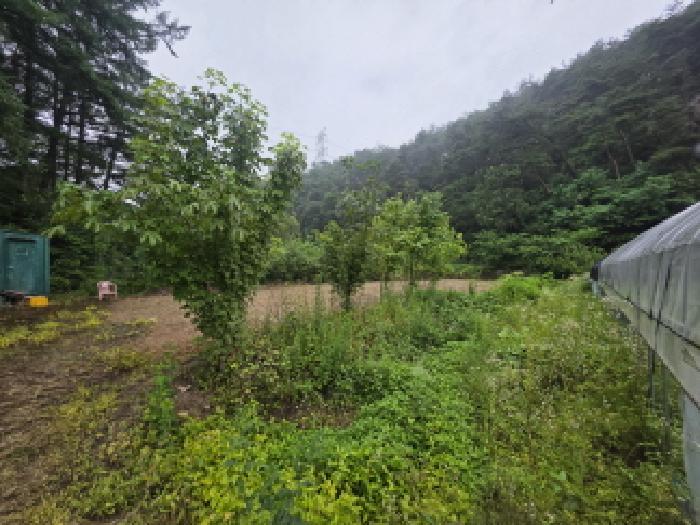충북 제천시 봉양읍 답 경매 물건 사진 2 · 2025타경129