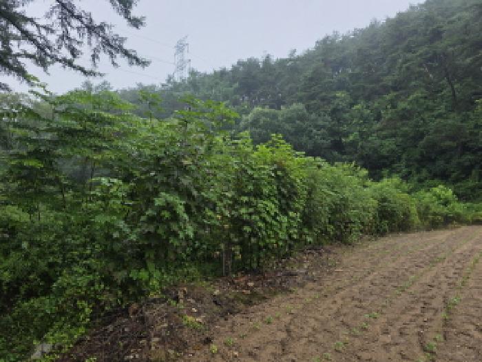 충북 제천시 봉양읍 답 경매 물건 사진 3 · 2025타경129