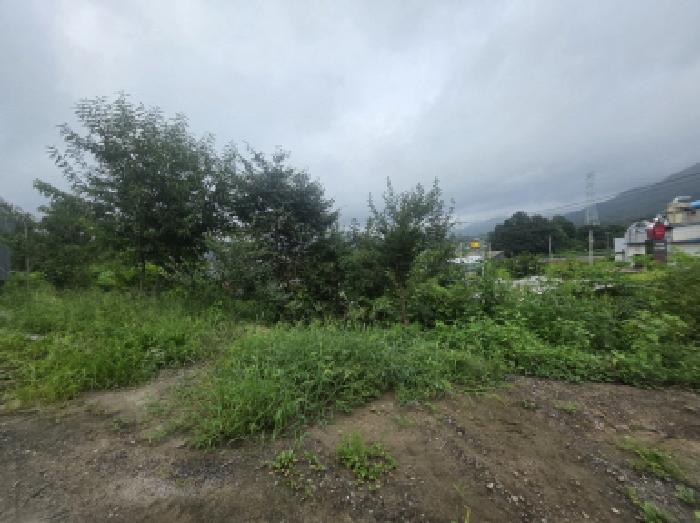 충북 제천시 백운면 임야 경매 물건 사진 3 · 2025타경145