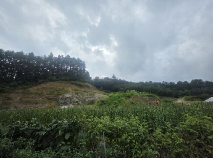 충북 제천시 백운면 임야 경매 물건 사진 5 · 2025타경145