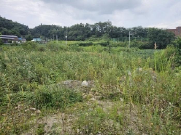 충북 제천시 고암동 답 경매 물건 사진 4 · 2025타경155