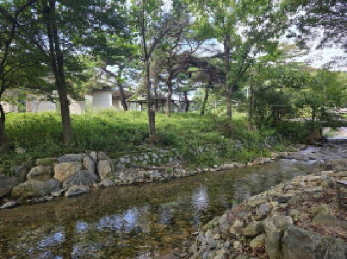 충북 제천시 금성면 전 경매 물건 사진 2 · 2025타경156