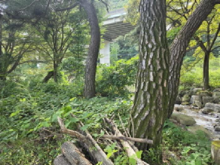 충북 제천시 금성면 전 경매 물건 사진 3 · 2025타경156