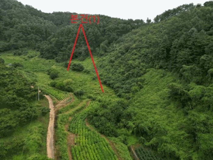 충북 제천시 금성면 전 경매 물건 사진