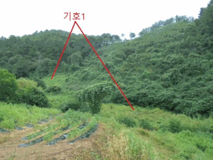 충북 제천시 금성면 전 경매 물건 사진 4 · 2025타경156