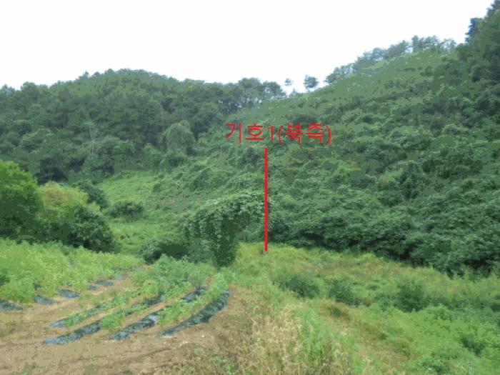 충북 제천시 금성면 전 경매 물건 사진 6 · 2025타경156