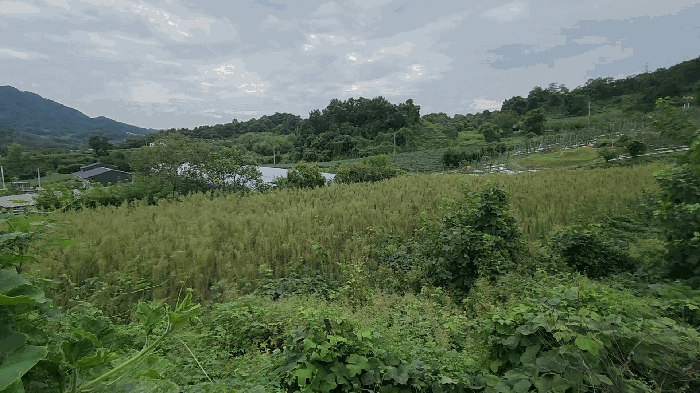 충청북도 단양군 어상천면 방북리 67 전 경매 물건 사진