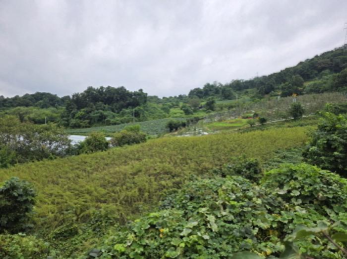 충북 단양군 어상천면 전 경매 물건 사진