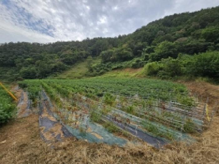 충북 단양군 어상천면 전 경매 물건 사진 4 · 2025타경157
