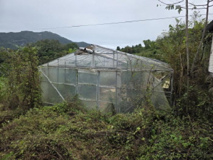 충북 제천시 송학면 창고시설 경매 물건 사진