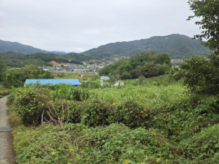 충북 제천시 송학면 창고시설 경매 물건 사진 3 · 2025타경160