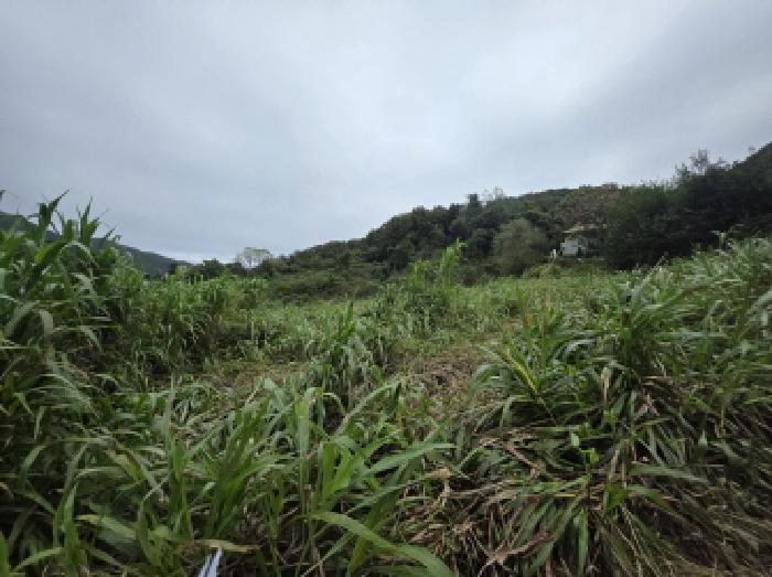 충북 제천시 송학면 창고시설 경매 물건 사진 4 · 2025타경160